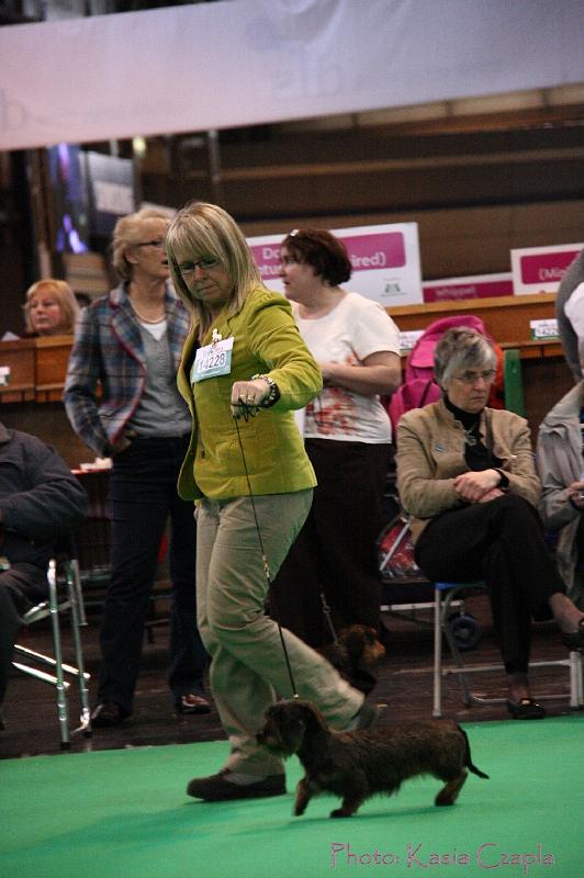 Crufts2011_2 1587.jpg